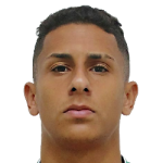 Bruno Tubarão