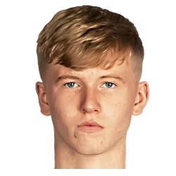 Josh Doig