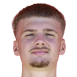 Luka Misimovic